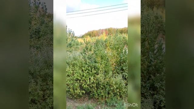 Урбан-вилла ЖК House Clube 2 комнатная Тюмень!