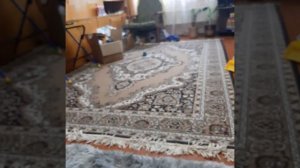 Интерактивная игра для собак ( автоматическая катапульта).