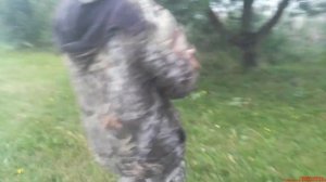 На рыбалке спасли ёжика. На нас напали шершни и...