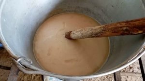 Купил телят. Как я делаю кашу из сухого молока.