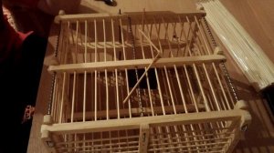 Прутики для клеток и ловушек