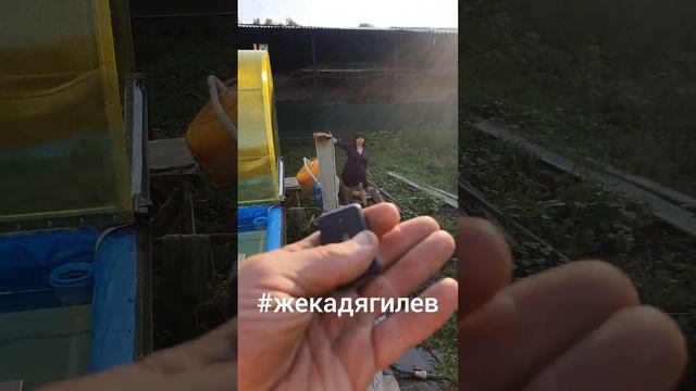 откатной навес над бассейном ?✊