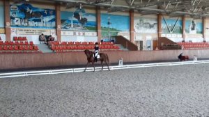 Вегас CCI2* A  выездка