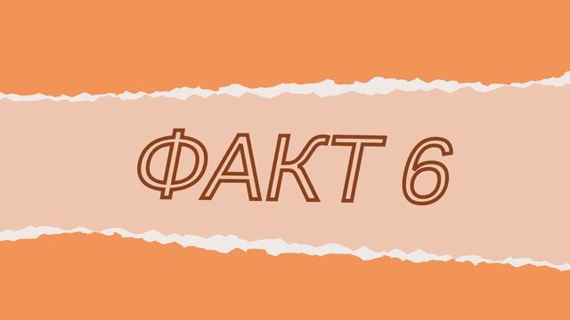 Школы в Италии / ТОП 10 фактов об итальянских школах.