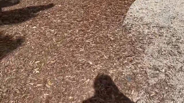 Неожиданно поехали с детьми на природу, погода весна веснучая??? смотреть онлайн