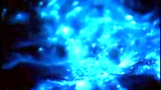 Светящиеся бактерии