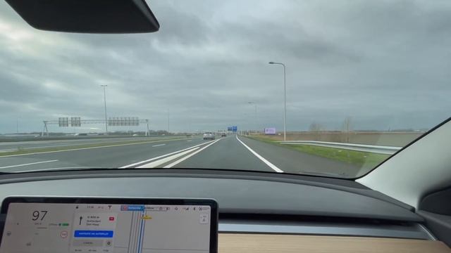 Меняются зубы у собаки. Сонная чихуахуа #AmyDog смотреть онлайн