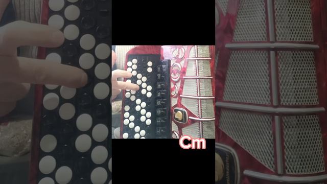 Разбор песни "Ах ты, зимушка-зима"! 🪗 Русская народная песня.#урок #обучающиевидео