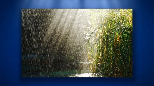 Почему солнечные лучи веером расходятся из-под облаков? смотреть онлайн