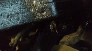 Обработка арок задних колёс и установка подкрылок на Фиат Албеа