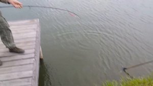 Рыбалка в рыболовном клубе " Юрково "