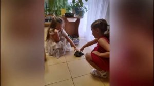 ЗООТЕРАПИЯ