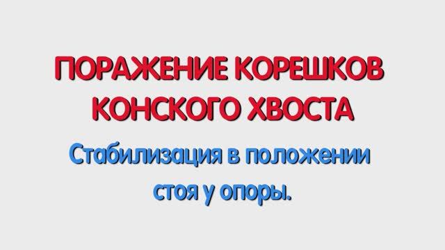 С. Стабилизация в положении стоя у опоры.