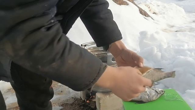 Копчение подлещика часть 1! Тест драйв коптилки! Подбор правильного рецепта! смотреть онлайн