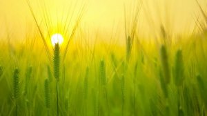 Наглая родня оккупировала квартиру невестки. Но родственники не ожидали, как изящно...