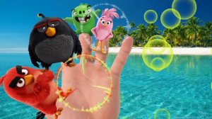 The Angry Birds Finger Family- Yesterday Tivi