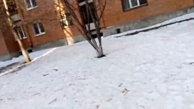Экстремальные прятки. (часть 1)