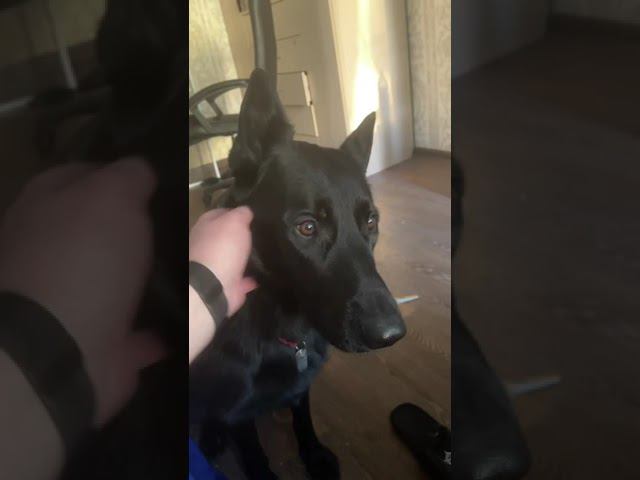 IMG 0084 смотреть онлайн