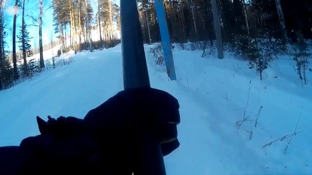 волчиха