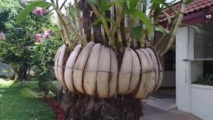 Отель Амора Бич Резорт о. Пхукет