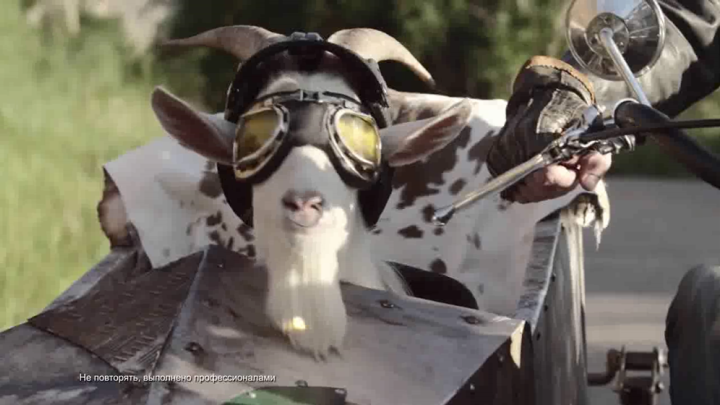 Родственные души! Байкер и друг-козёл Макс! смотреть онлайн