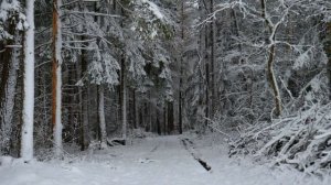 Друг познаётся в беде. Интересные истории из жизни людей. Аудио рассказы.