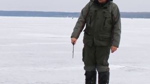 Ловля судака зимой на водохранилище