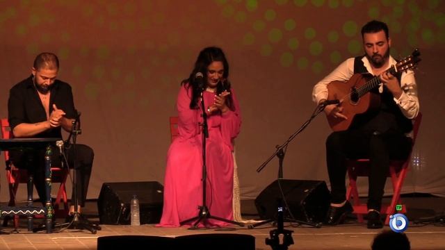 FLAMENCO EN TIERRA FIRME P-0012 09MAY2023 · ONDA BARBATE смотреть онлайн