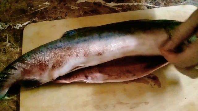Как посолить горбушу