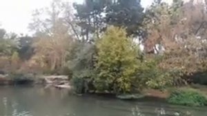 Парк «Тет д’Ор» в городе Лион, Франция!  Parc de la Tête d’Or, Lyon, France!