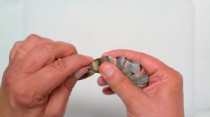 Как сделать бабочку из креветки