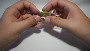 Jackall Mask Frog, лягушка-незацепляйка.