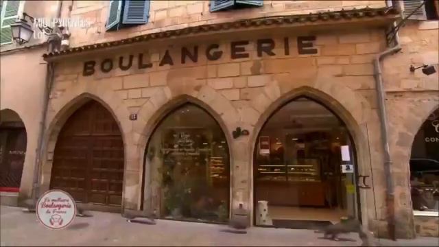 CATS FAIL: Cats Runs Into Glass Door on French Bakery Programme. смотреть онлайн