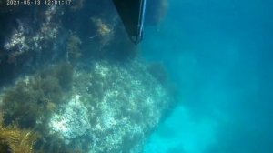 Подводная охота в Крыму, Май 2021