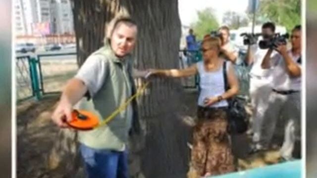 Деревья - памятники живой природы. Астраханская обл.