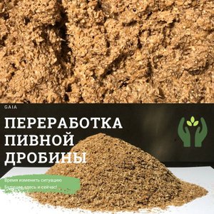 Переработка пивной дробины в замкнутом контуре