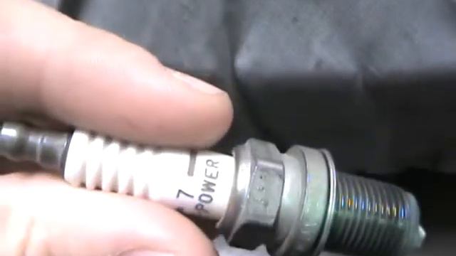 NGK 7 spark plugs look great