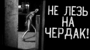 свинтус придёт 2 часть