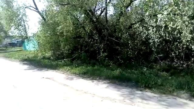 Продается участок,в Русской Гвоздевке 44,34 сотки смотреть онлайн