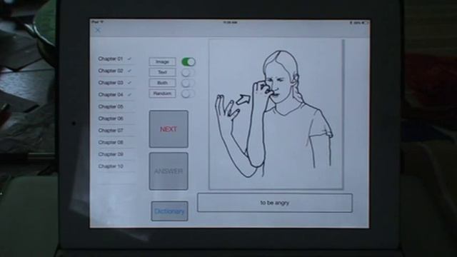 Flashcard Program written for iPAD with Pythonista