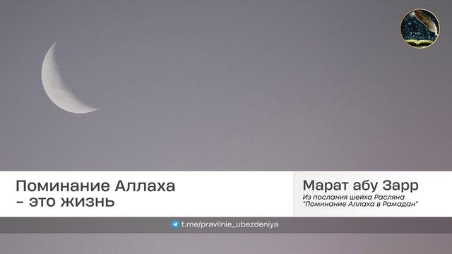 Можно ли упоминать аллаха в туалете