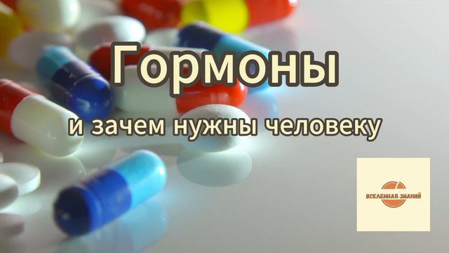 024 гормоны