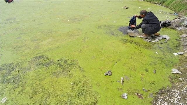 Виды загрязнений окружающей среды