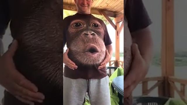 Прикол. Майка с обезьяной