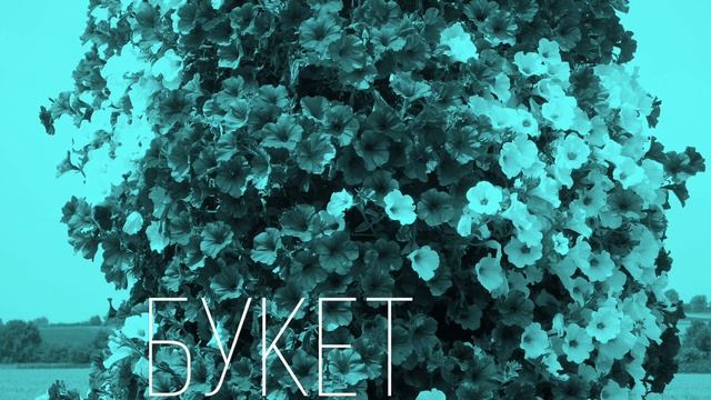 Петунии: магия ярких цветов в вашем саду смотреть онлайн