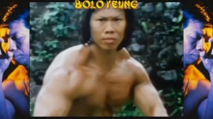 МОИ ЗВЕЗДЫ VHS БОЛО ЯНГ (Bolo Yeung)
