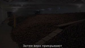 Хранение картофеля