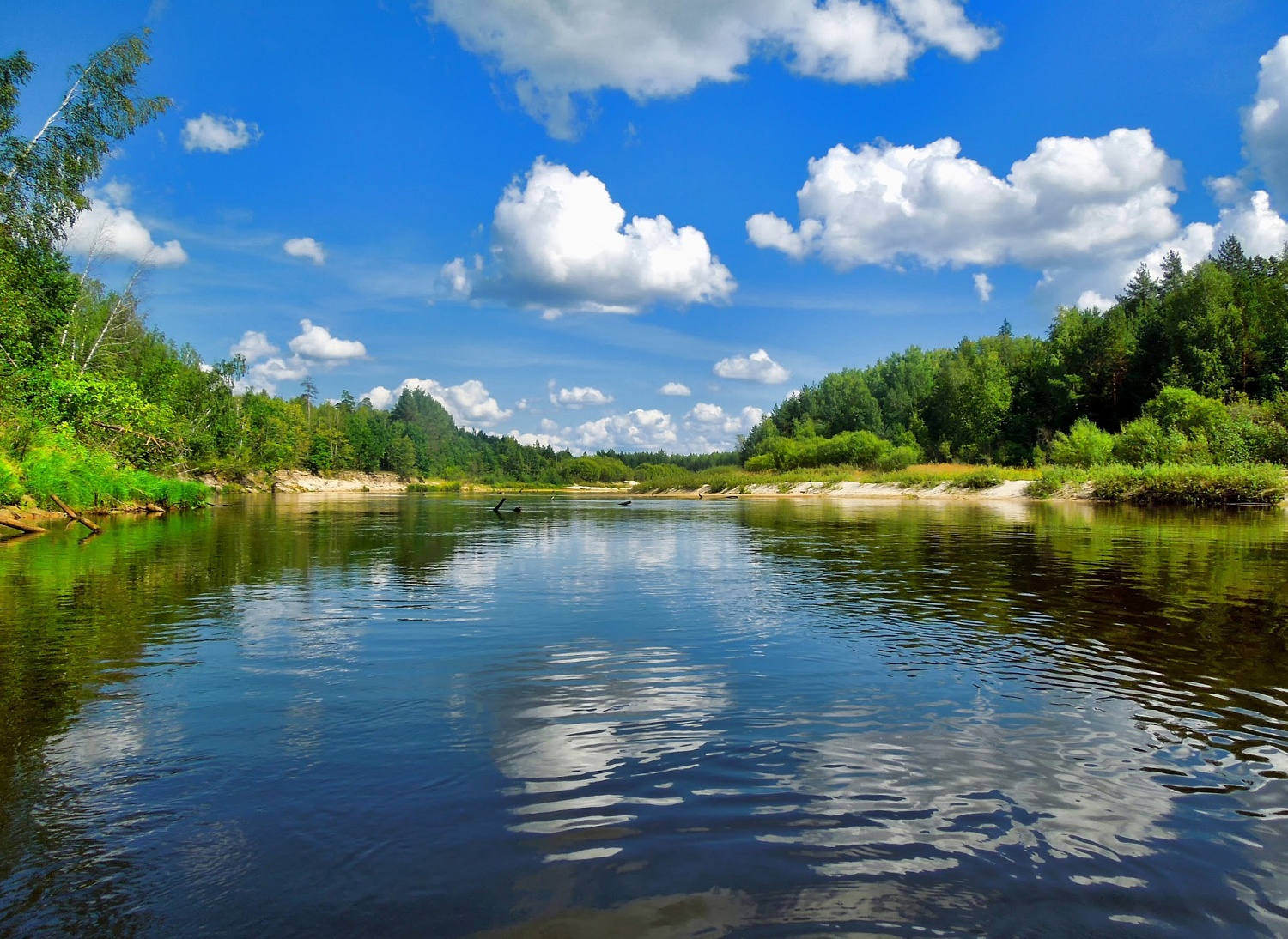 Куртинка