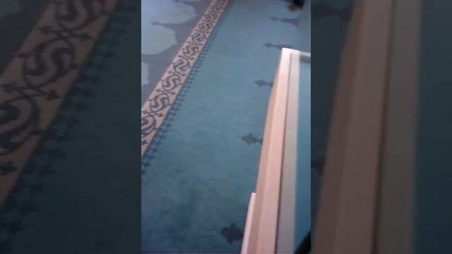 Мачит проспект мира смотреть онлайн