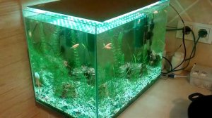 Подсветка аквариума